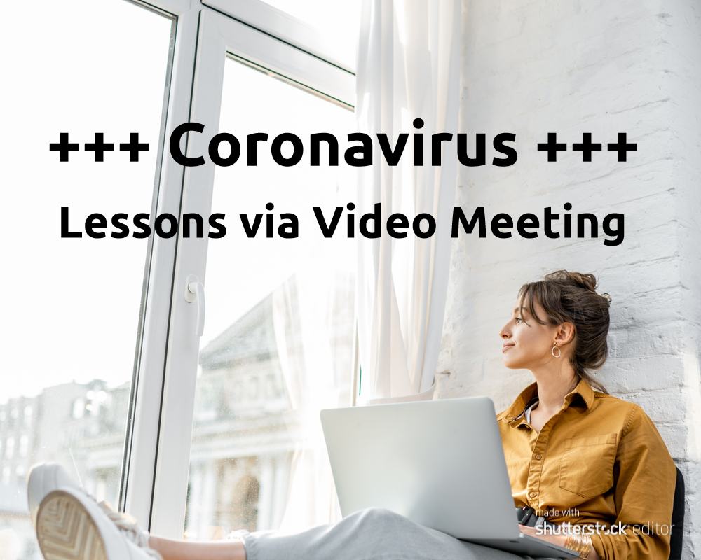 Lessons via video meeting